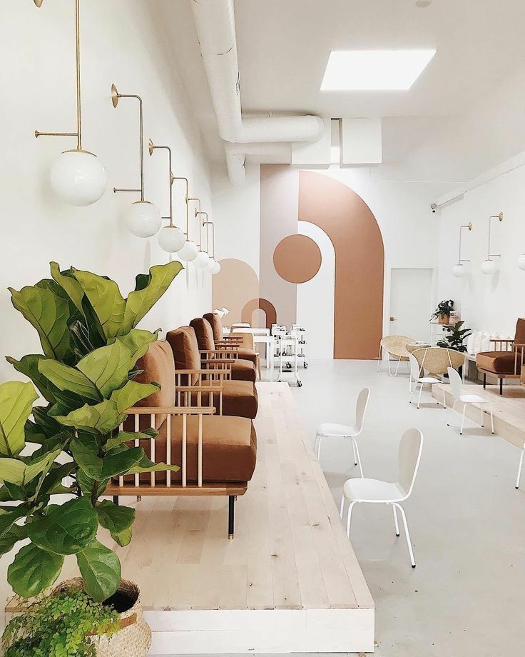 انتخاب گیاهان مناسب برای سالن‌های زیبایی