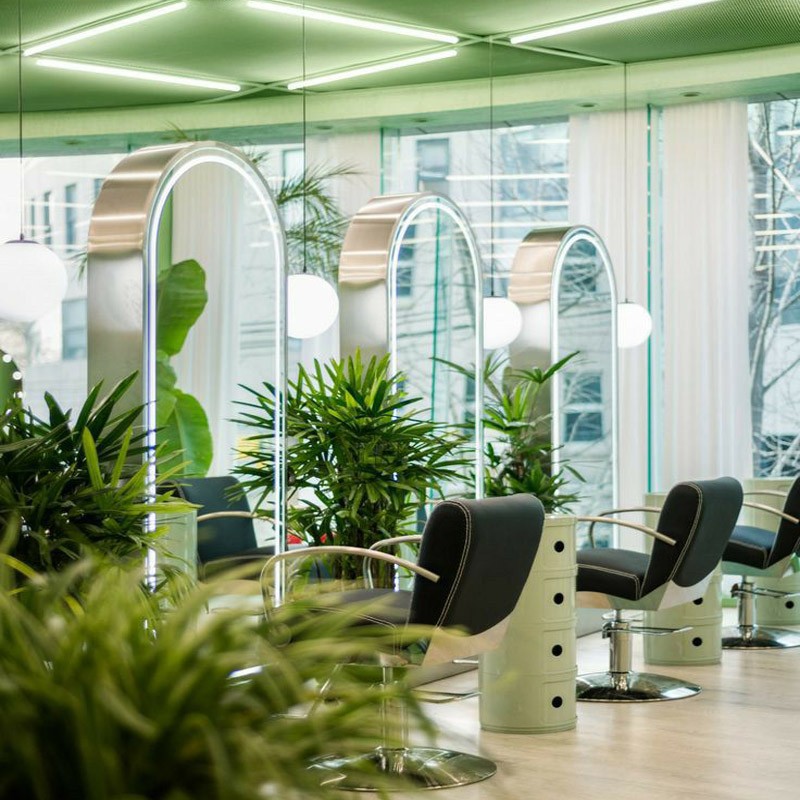 کاربرد گیاهان در سالن‌های زیبایی: ترکیب طبیعت و طراحی داخلی